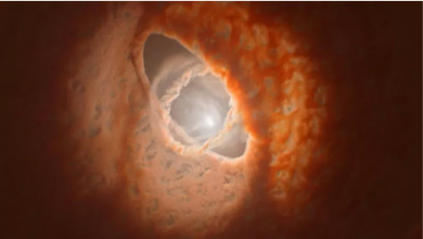 Photo of Planet found orbiting strangely three stars…
